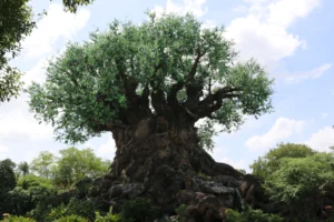 Disney's Animal Kingdom