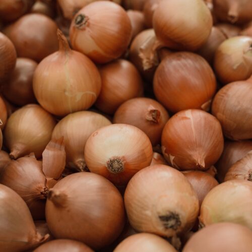 Close-up of Onions