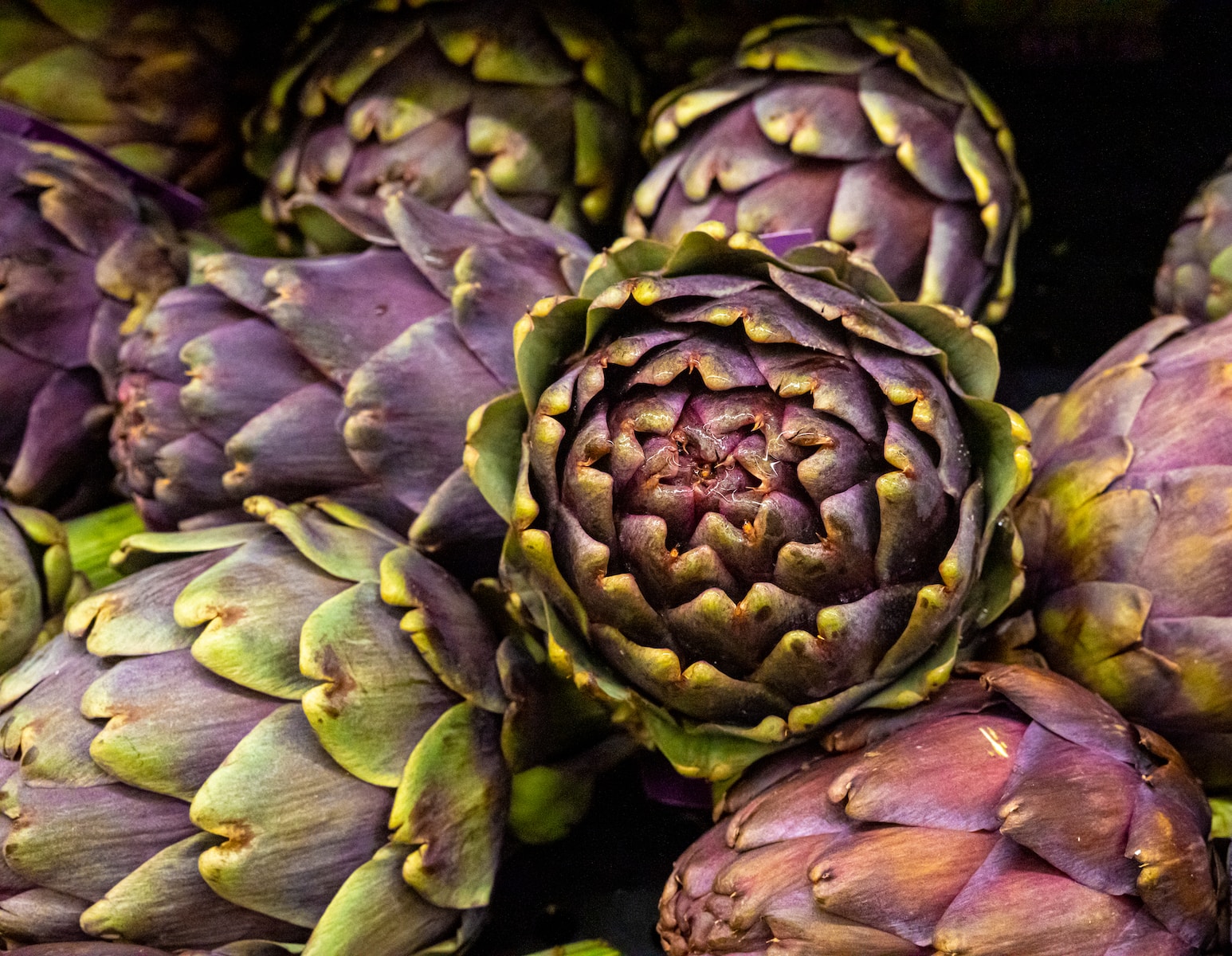 green and brown plant in close up photography