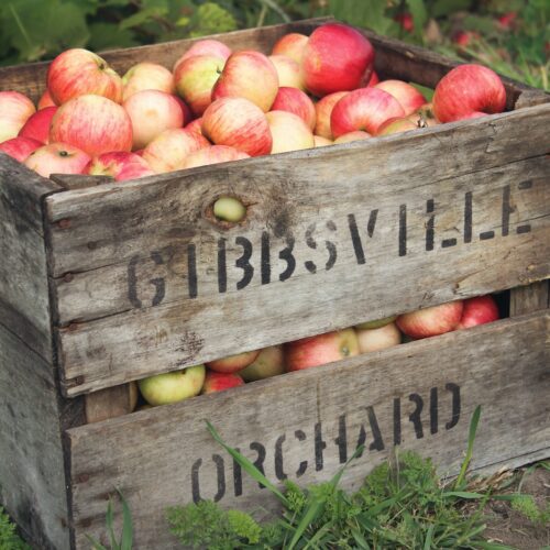 a wooden crate filled with lots of apples