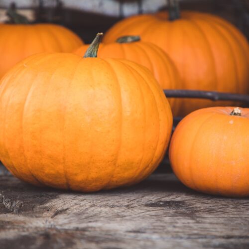 orange pumpkin on gray wooden table