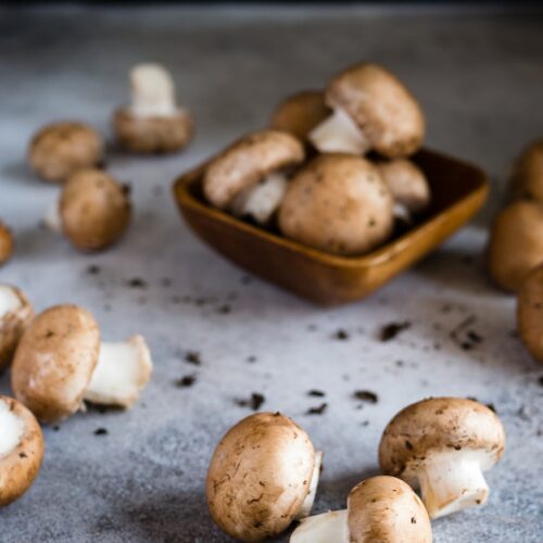 brown mushrooms on gray surface