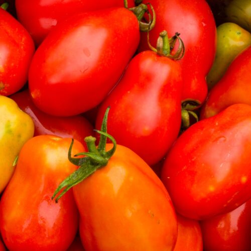 a close up of a bunch of tomatoes