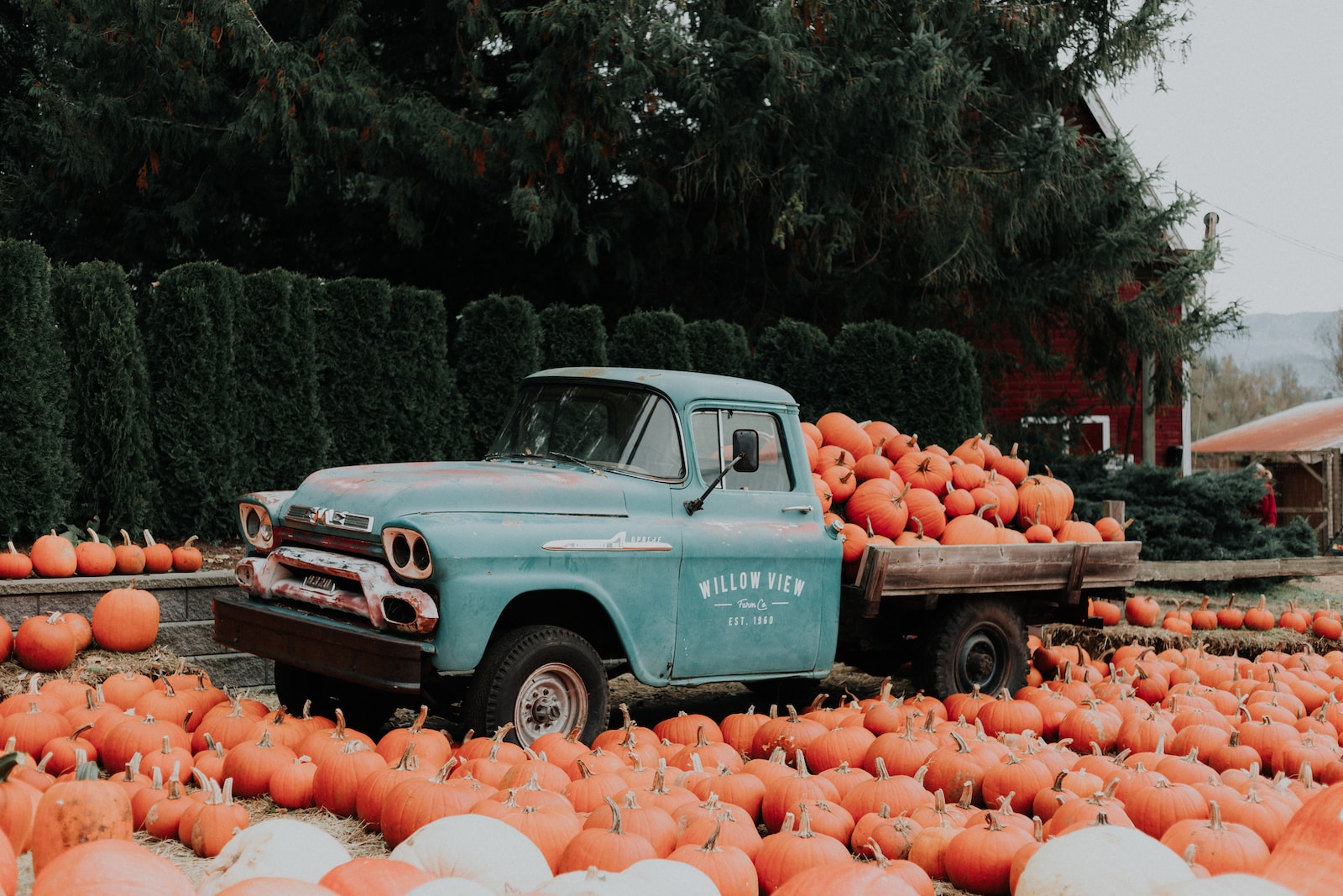 green single cab pickup truck carrying squash