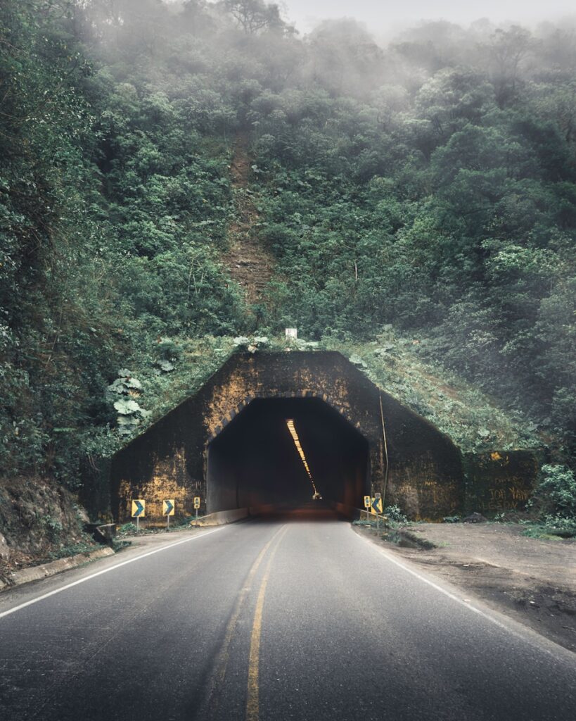 a road going into a tunnel in the middle of a forest