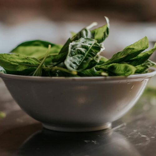 Green Leaves in White Ceramic Bowl