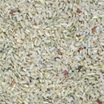 a close up of a pile of rice