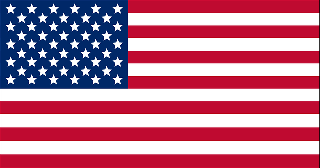 Free Flag Usa vector and picture