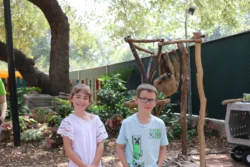 San Antonio Zoo San Antonio Zoo